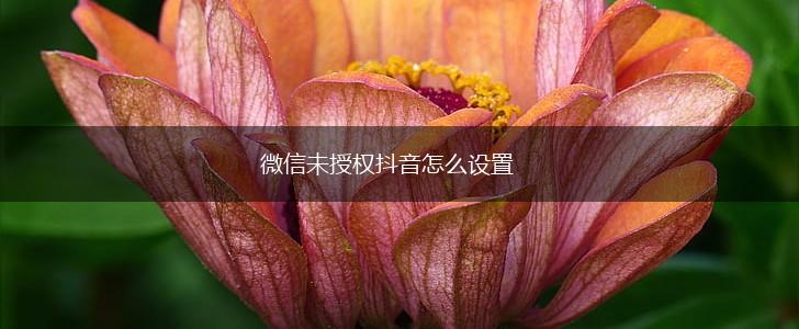 微信未授权抖音怎么设置,第1张