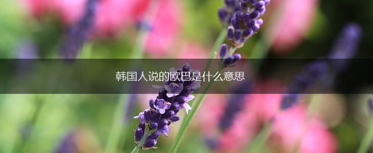 韩国人说的欧巴是什么意思,第1张 韩国人说的欧巴是什么意思,第1张