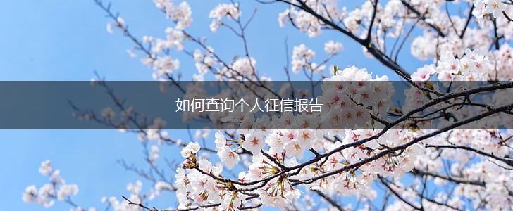 如何查询个人征信报告,第1张