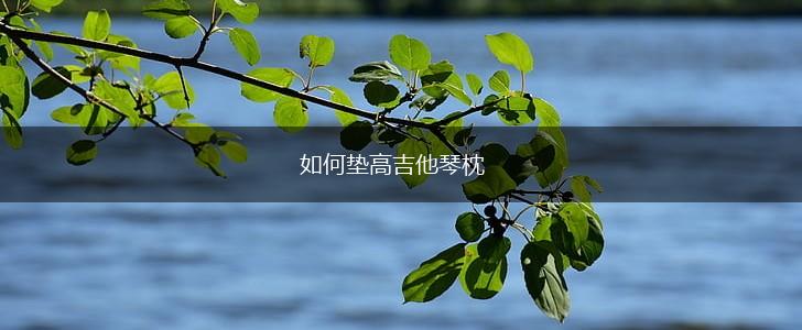 如何垫高吉他琴枕,第1张 如何垫高吉他琴枕,第1张