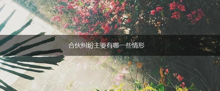 合伙纠纷主要有哪一些情形,第1张