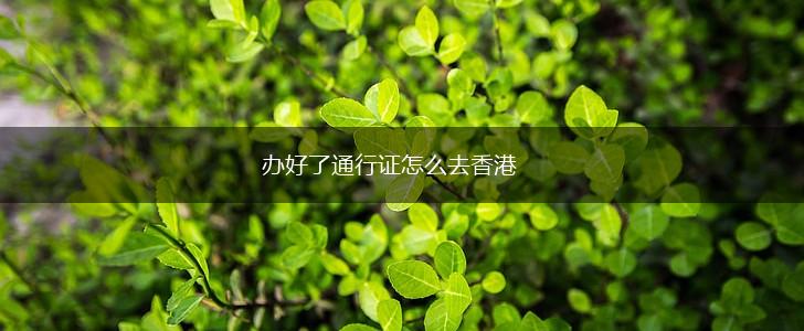 办好了通行证怎么去香港,第1张