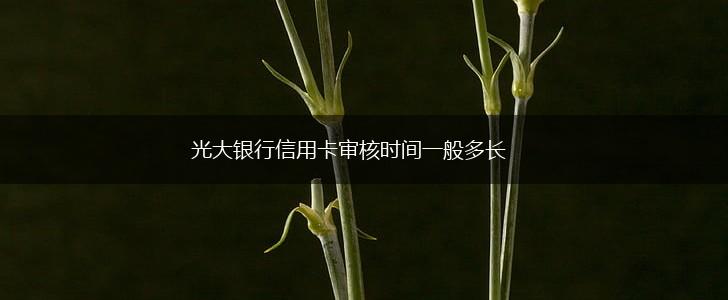光大银行信用卡审核时间一般多长,第1张