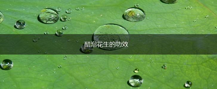 醋泡花生的功效,第1张