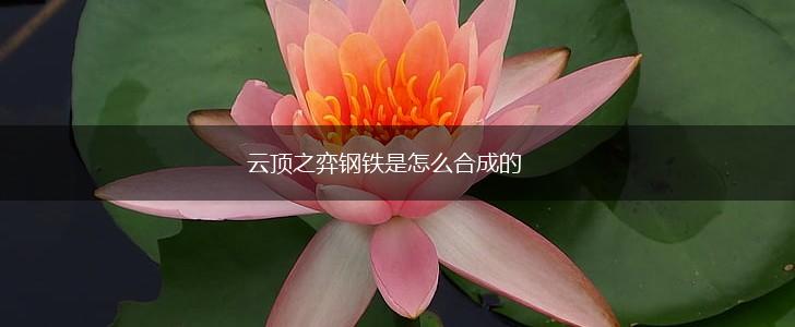 云顶之弈钢铁是怎么合成的,第1张