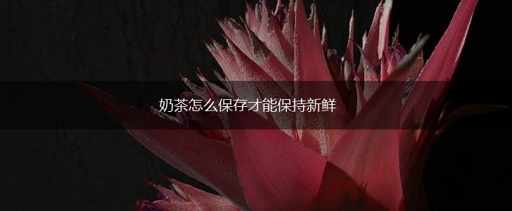 奶茶怎么保存才能保持新鲜,第1张