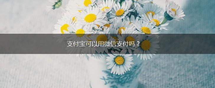 支付宝可以用微信支付吗？,第1张