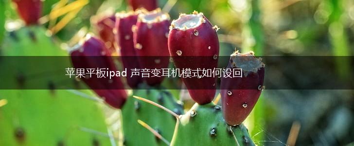 苹果平板ipad 声音变耳机模式如何设回,第1张