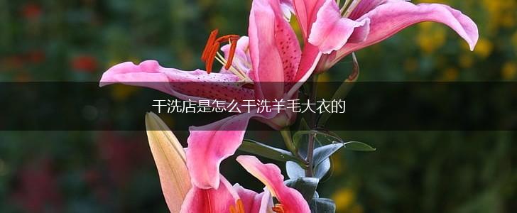 干洗店是怎么干洗羊毛大衣的,第1张