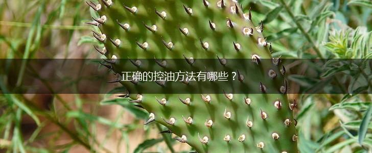 正确的控油方法有哪些？,第1张