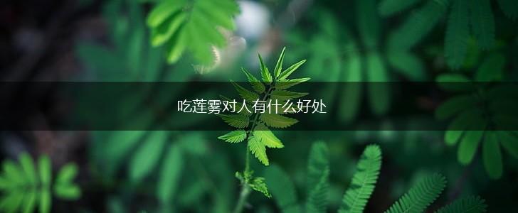 吃莲雾对人有什么好处,第1张