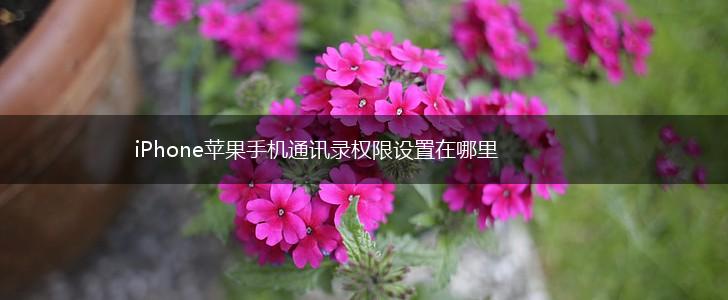 iPhone苹果手机通讯录权限设置在哪里,第1张