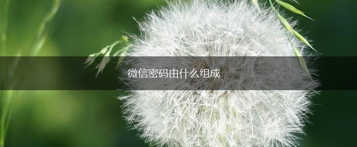 微信密码由什么组成,第1张