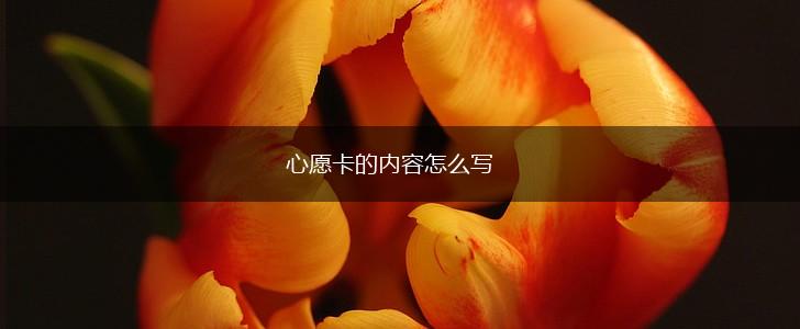 心愿卡的内容怎么写,第1张