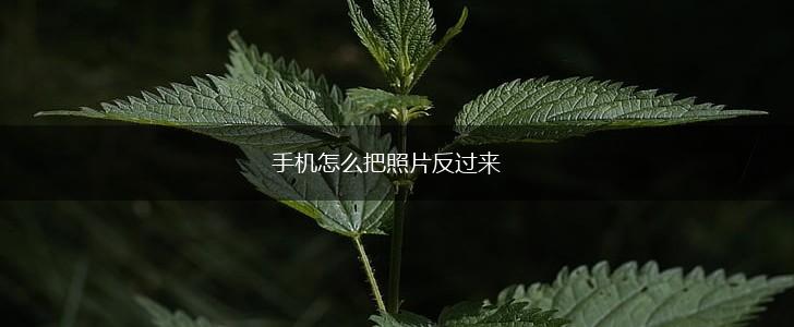 手机怎么把照片反过来,第1张