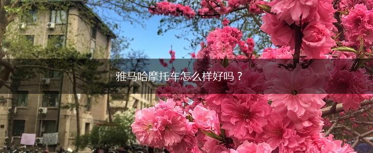 雅马哈摩托车怎么样好吗？,第1张