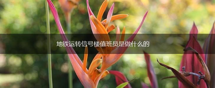 地铁运转信号楼值班员是做什么的,第1张