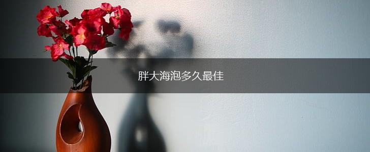 胖大海泡多久最佳,第1张 胖大海泡多久最佳,第1张