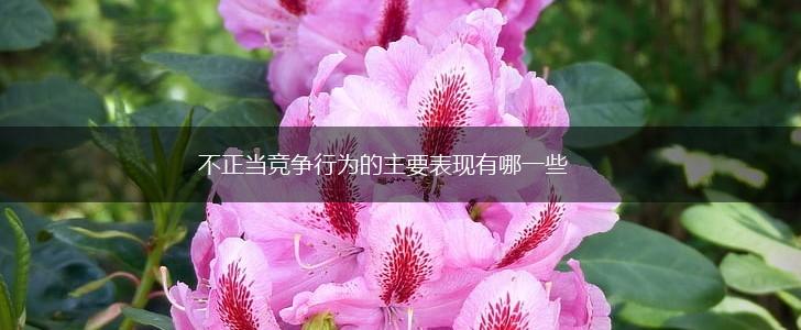 不正当竞争行为的主要表现有哪一些,第1张