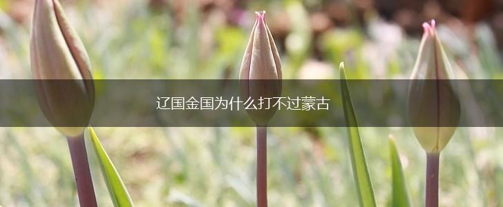 辽国金国为什么打不过蒙古,第1张