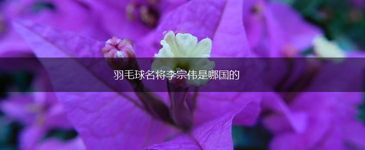 羽毛球名将李宗伟是哪国的,第1张
