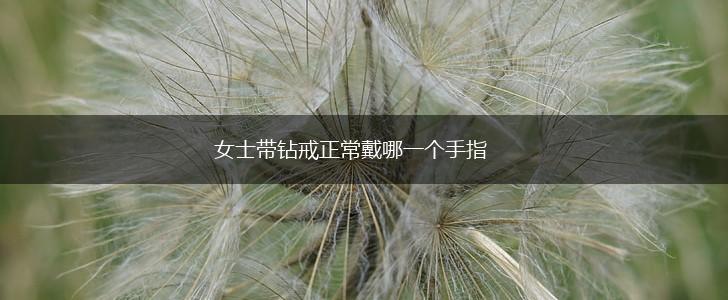 女士带钻戒正常戴哪一个手指,第1张