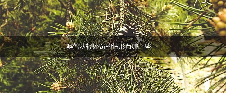 醉驾从轻处罚的情形有哪一些,第1张