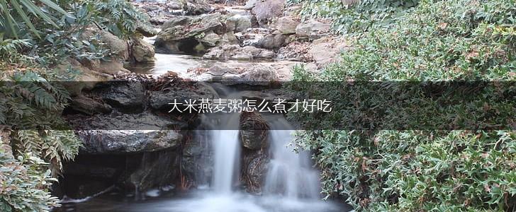 大米燕麦粥怎么煮才好吃,第1张