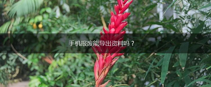 手机报废能导出资料吗？,第1张