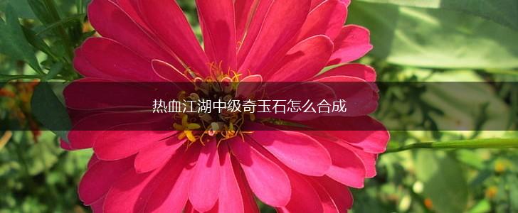 热血江湖中级奇玉石怎么合成,第1张