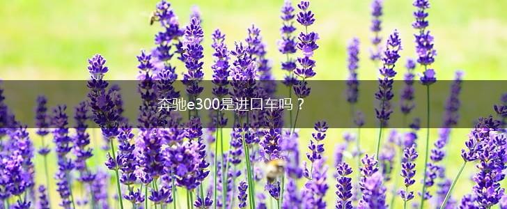 奔驰e300是进口车吗？,第1张