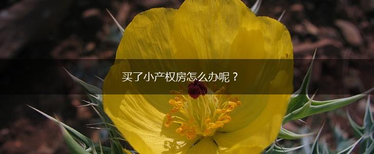 买了小产权房怎么办呢？,第1张
