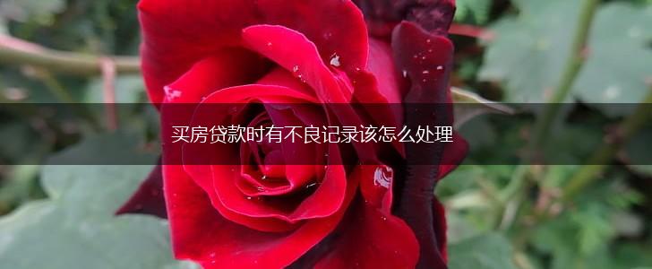 买房贷款时有不良记录该怎么处理,第1张