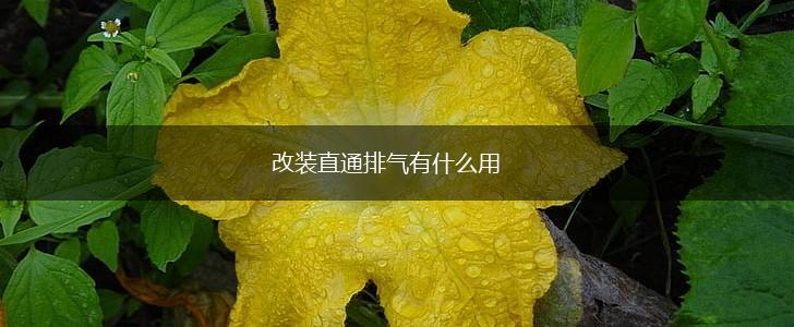 改装直通排气有什么用,第1张