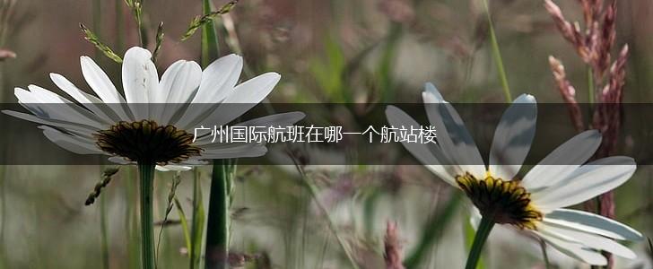 广州国际航班在哪一个航站楼,第1张