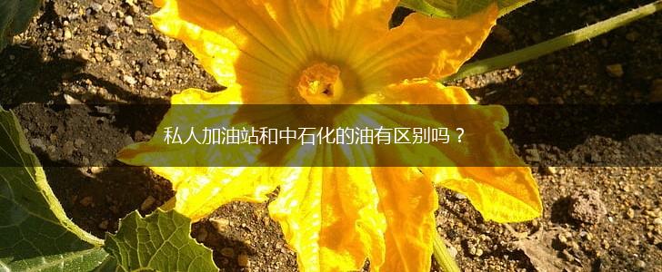 私人加油站和中石化的油有区别吗？,第1张