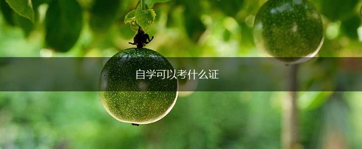 自学可以考什么证,第1张