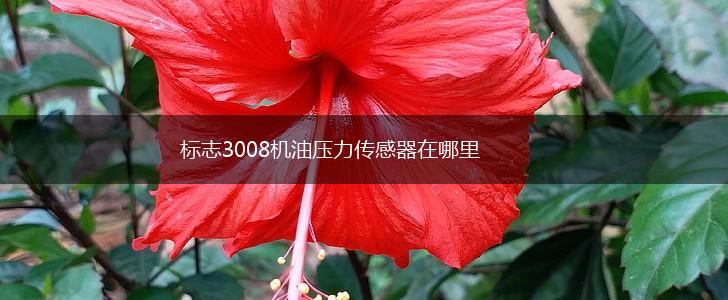 标志3008机油压力传感器在哪里,第1张