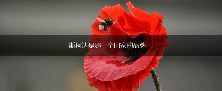斯柯达是哪一个国家的品牌,第1张