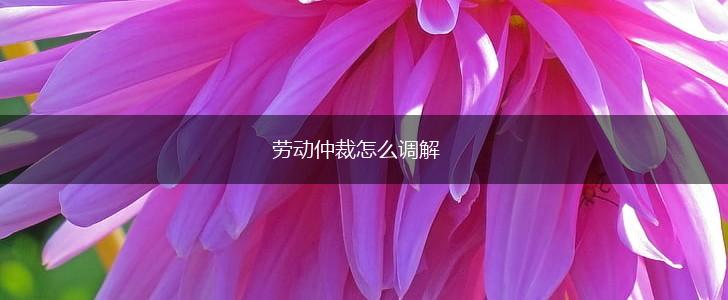 劳动仲裁怎么调解,第1张