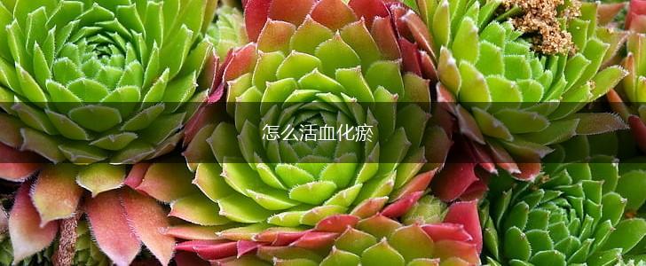 怎么活血化瘀,第1张