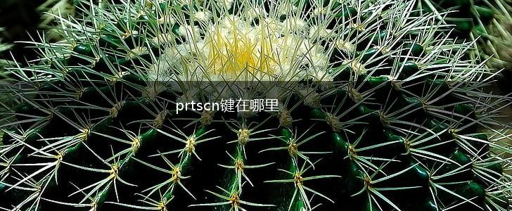 prtscn键在哪里,第1张