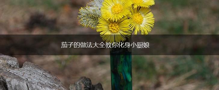 茄子的做法大全教你化身小厨娘,第1张 茄子的做法大全教你化身小厨娘,第1张