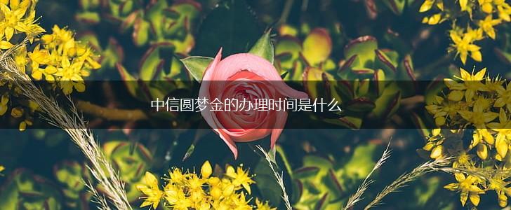 中信圆梦金的办理时间是什么,第1张