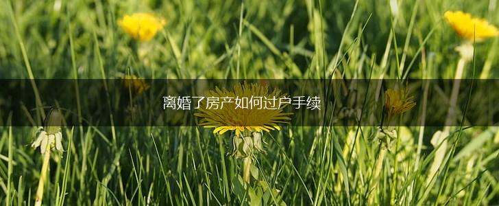 离婚了房产如何过户手续,第1张