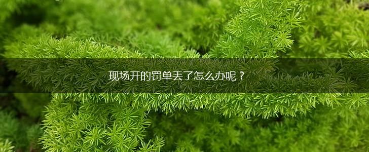 现场开的罚单丢了怎么办呢?,第1张 现场开的罚单丢了怎么办呢?,第1张