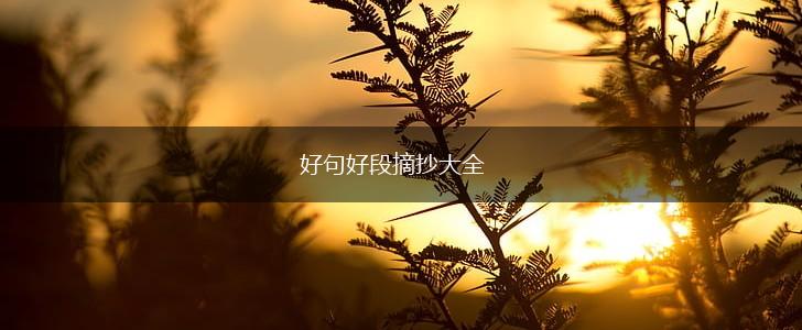 好句好段摘抄大全,第1张