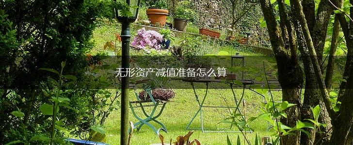 无形资产减值准备怎么算,第1张