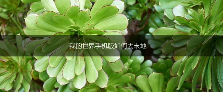 我的世界手机版如何去末地,第1张 我的世界手机版如何去末地,第1张