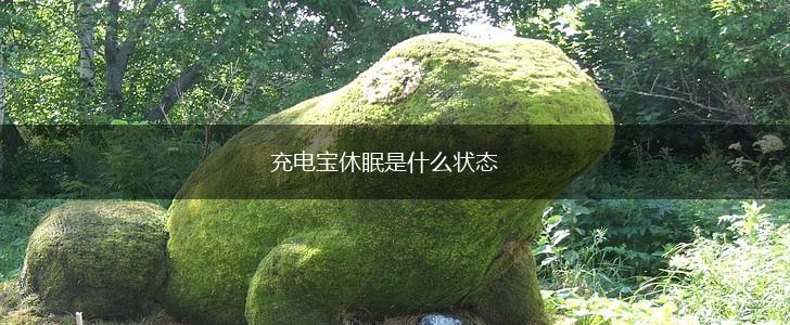 充电宝休眠是什么状态,第1张